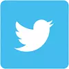Share Twitter